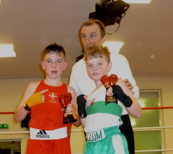 Superb show as local boxers shine